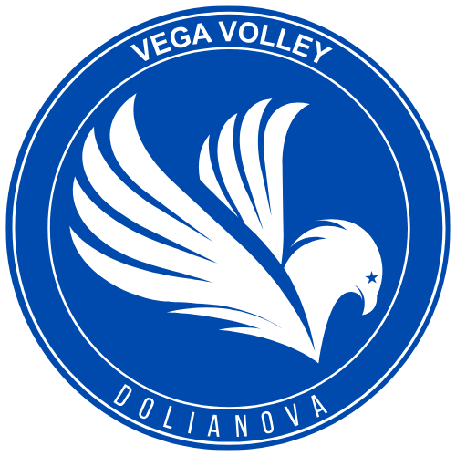 VegaVolley